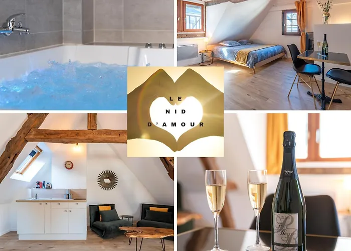 Centre-Ville Le Nid D\'Amour Jacuzzi Appartement