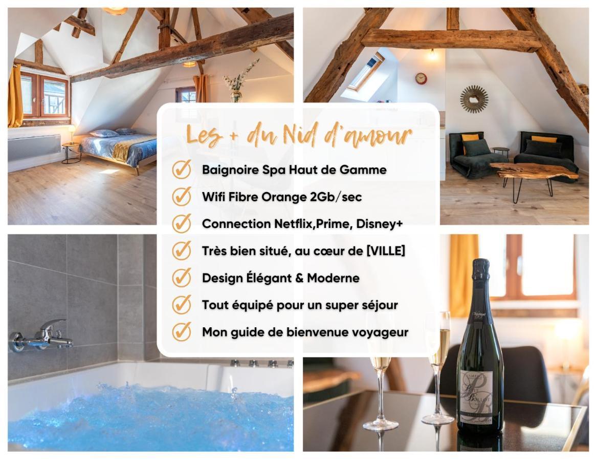 Appartement Centre-ville Le Nid D'amour Jacuzzi Rouen