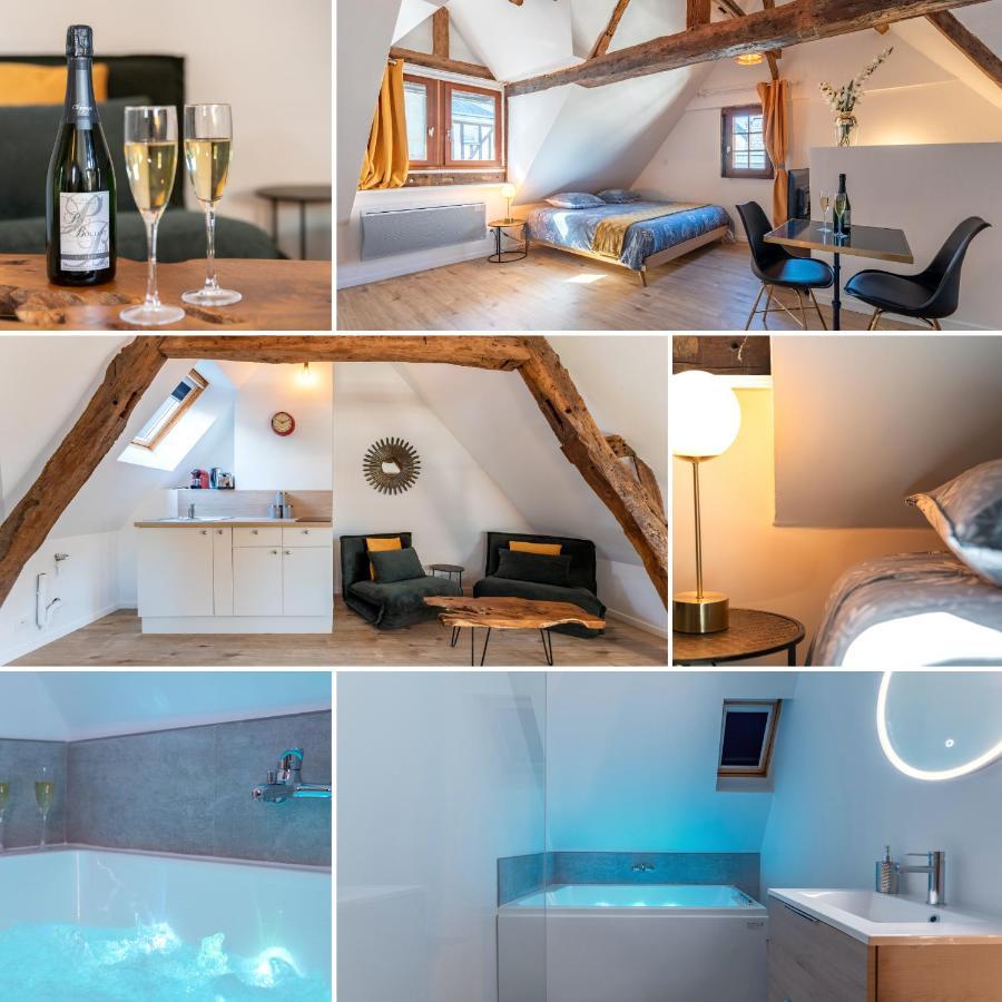 Appartement Centre-ville Le Nid D'amour Jacuzzi Rouen