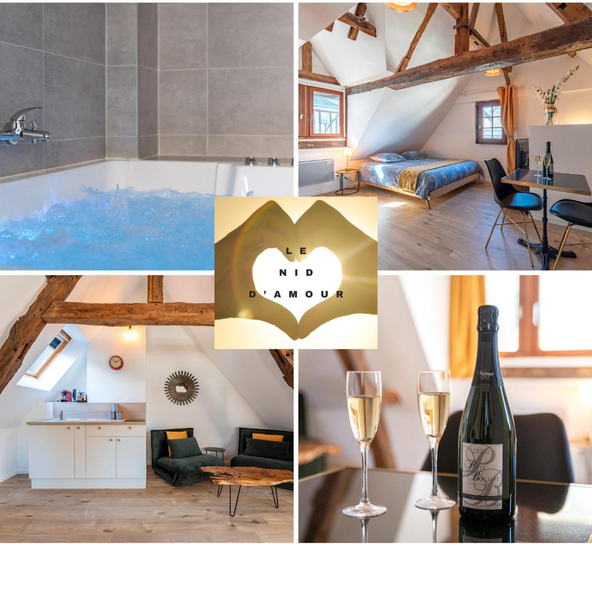 Appartement Centre-ville Le Nid D'amour Jacuzzi Rouen